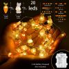 Bunny Carrot String Lights 20 LED Battery Operated
