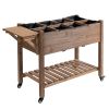 Outsunny Raised Garden Bed 49x21x34 with Grow Grids & Storage Shelf on Wheels Brown