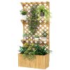 Raised Garden Bed with Trellis