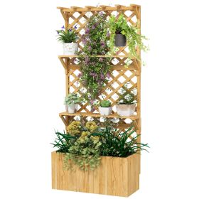Raised Garden Bed with Trellis