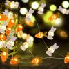 Bunny Carrot String Lights 20 LED Battery Operated
