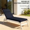 Outdoor lounge chair cushion 2-piece set, cushion, Navy Blue