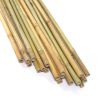 20PC 5FT Natural Bamboo Plant Climbing Stakes Helping Plants Grow and Beautifying Your Space