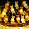 Bunny Carrot String Lights 20 LED Battery Operated