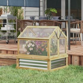 Cold Frame Greenhouse Garden Bed