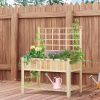 Outsunny Elevated  Wooden Planter Box
