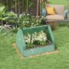 Metal Raised Garden Bed with Greenhouse, Small Planter Box with Green & Silver Cover for Outdoor Gardening