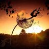 Dandelion Figurine Statue Steel