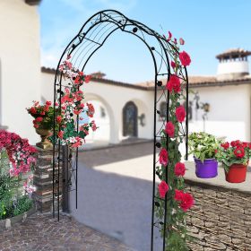 Metal Garden Arch Assemble Freely with 8 Styles (Color: Black)