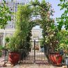 Metal Garden Arch with Gate 79.5'' Wide x 86.6'' High