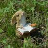 Cute Rabbit Yard Ornament