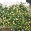 4 Pack Metal Garden Trellis 86.7" x 19.7"